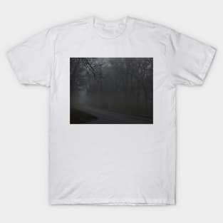Rainy Parkway Days T-Shirt